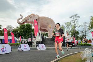 BIB: 
                            <button type="button" onclick="openModal(26528448)" class="btn btn-primary btn-sm float-right btn-popup" data-toggle="modal" data-target=".modal-high-quality">
                        <i class="fas fa-shopping-cart"></i> Add to Cart
                    </button>
                                            <button type="button" onclick="isThisMe(26528448, true)" class="btn btn-success btn-sm float-right btn-popup btn-isme hidden" data-toggle="tooltip" data-placement="bottom" title="นี่คือรูปของคุณใช่ไหม คลิกที่นี่เพื่อเอาเข้าอัลบั้ม">
                        <i class="fas fa-plus"></i> Add to album
                    </button>
                    <button type="button" onclick="isThisMe(26528448, false)" class="btn btn-warning btn-sm float-right btn-popup btn-isnotme hidden">
                        <i class="fas fa-ban"></i> Remove from album
                    </button>